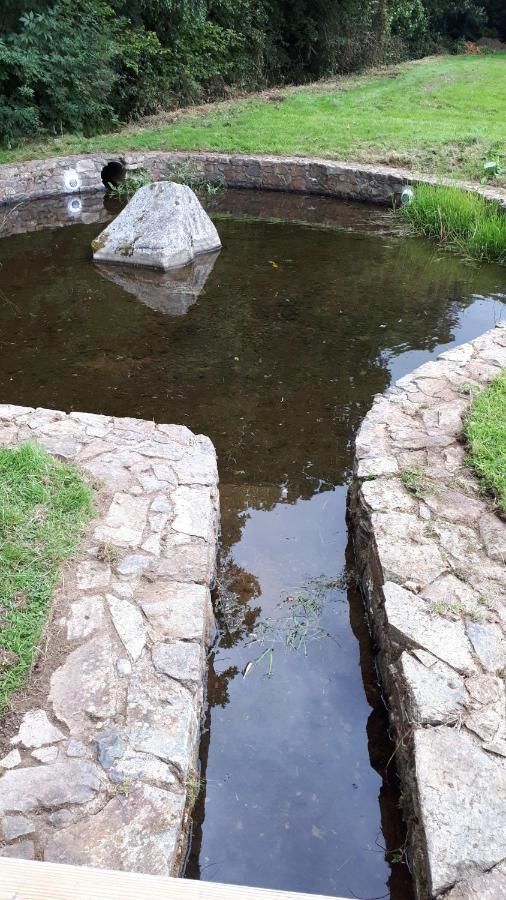 Отели типа «постель и завтрак» Birchdale House B&B Ратдрам-14