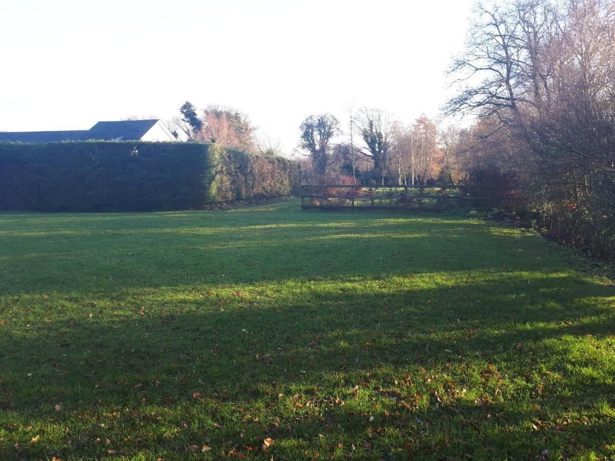 Отели типа «постель и завтрак» Birchdale House B&B Ратдрам-18