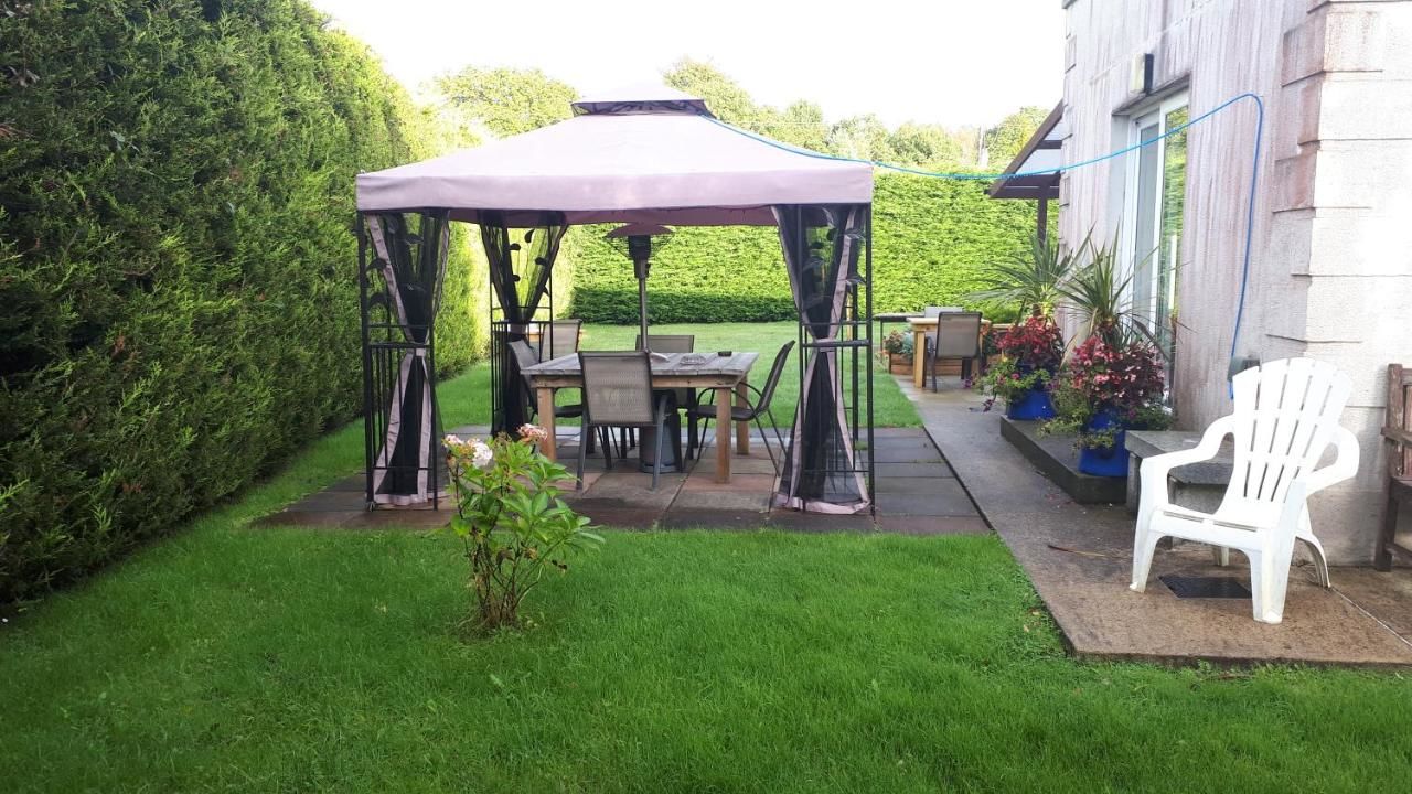 Отели типа «постель и завтрак» Birchdale House B&B Ратдрам-20