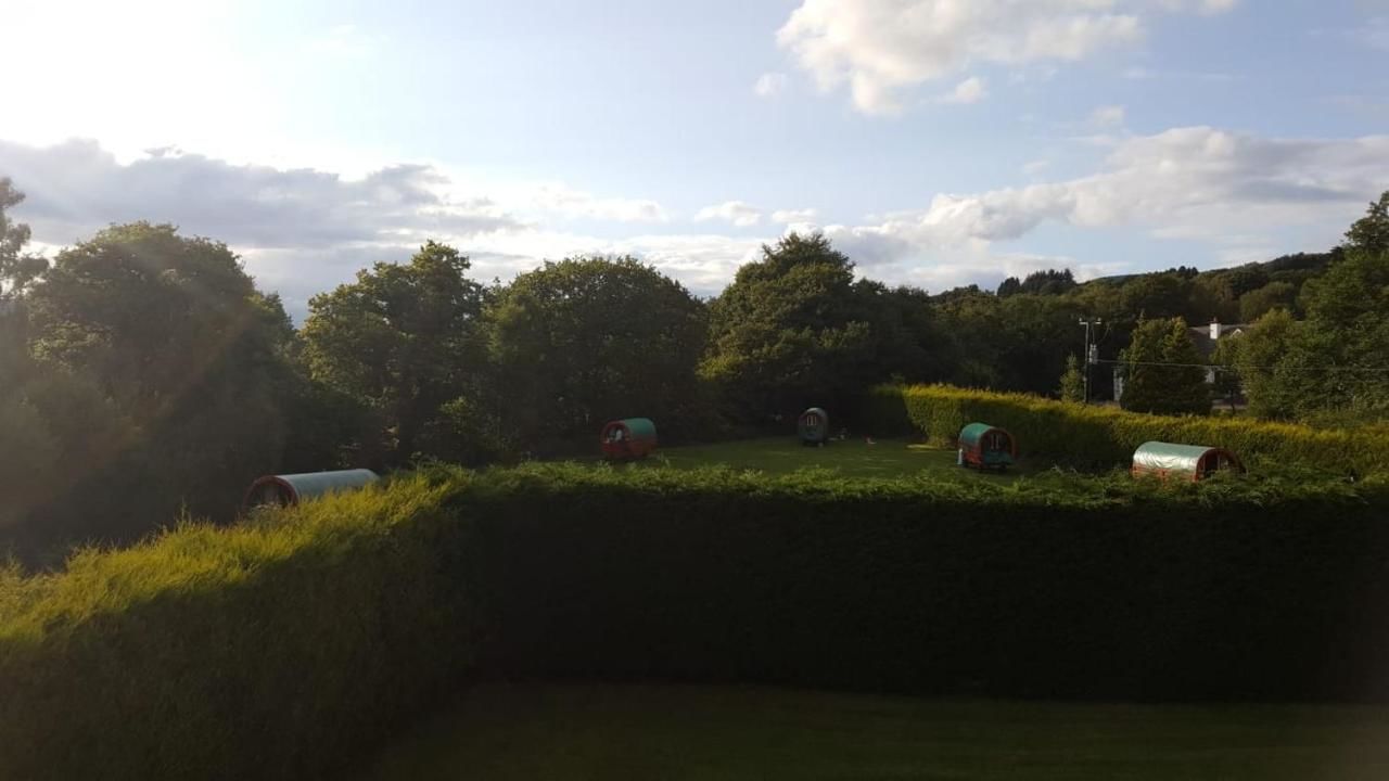 Отели типа «постель и завтрак» Birchdale House B&B Ратдрам