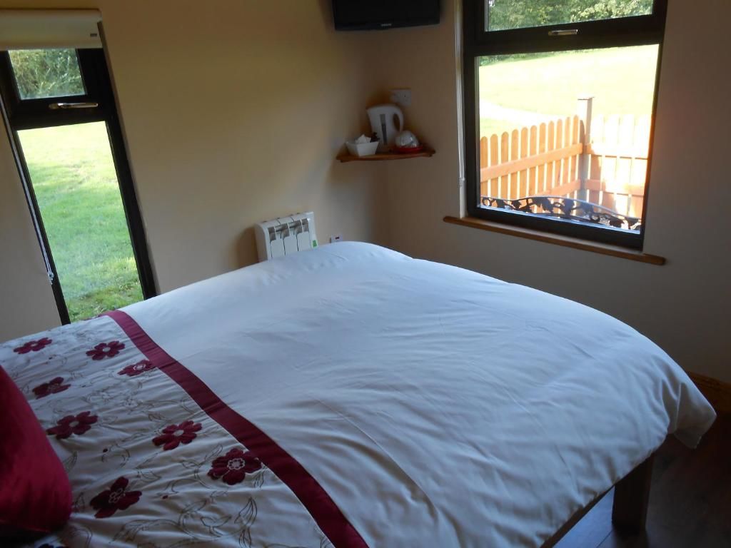 Отели типа «постель и завтрак» Birchdale House B&B Ратдрам-57