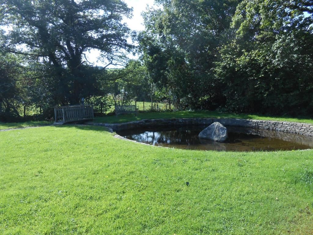 Отели типа «постель и завтрак» Birchdale House B&B Ратдрам-62