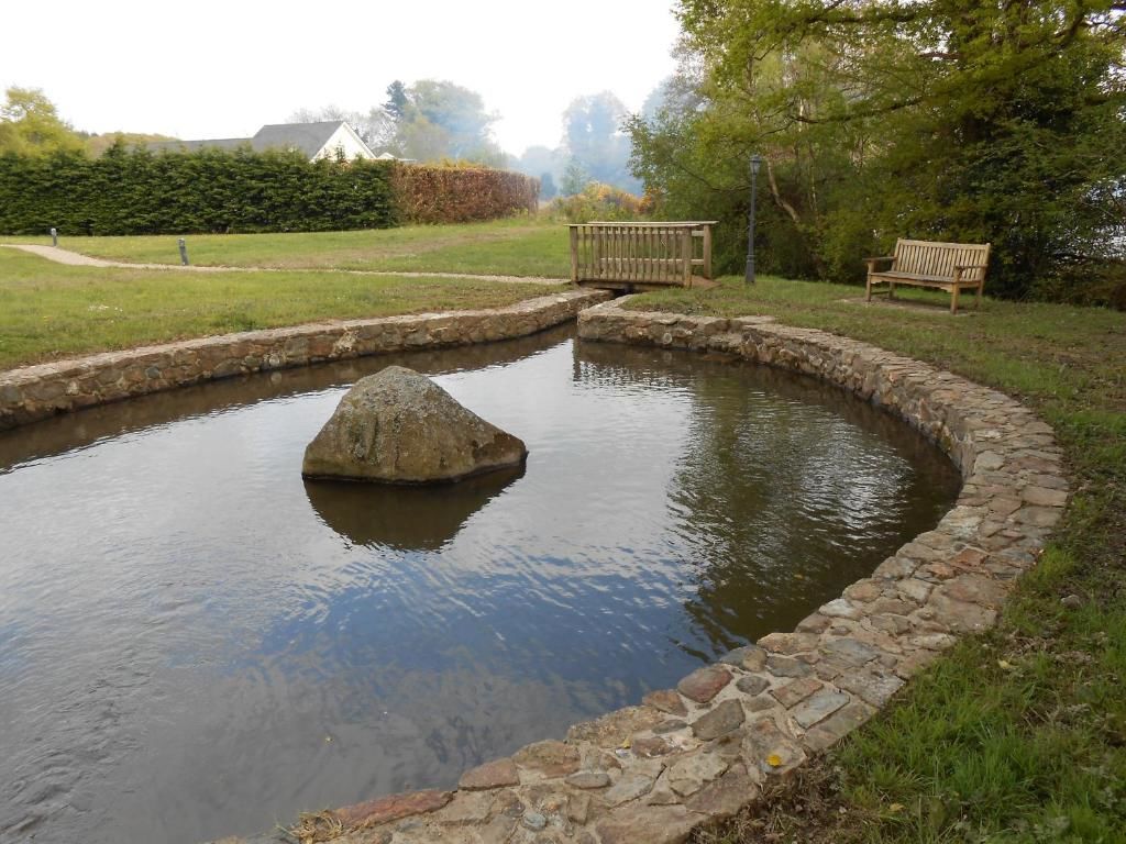 Отели типа «постель и завтрак» Birchdale House B&B Ратдрам-63